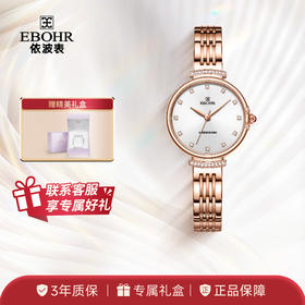 依波表EBOHR手表INS风女士官方正品钢带石英表女表小巧小表盘5657