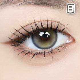 #Double Gray 仙人掌班戟 灰绿色 14.5mm【10片装】进口日抛