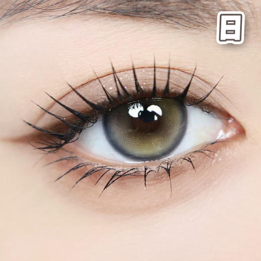 #Double Gray 仙人掌班戟 灰绿色 14.5mm【10片装】进口日抛 商品图0