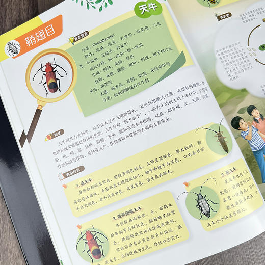 儿童昆虫百科全书 商品图4