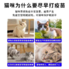 金喵乐丨猫三联疫苗 商品缩略图2