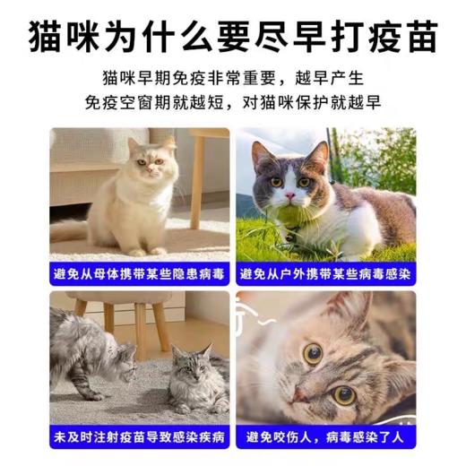 金喵乐丨猫三联疫苗 商品图2