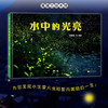 水中的光亮 商品缩略图1
