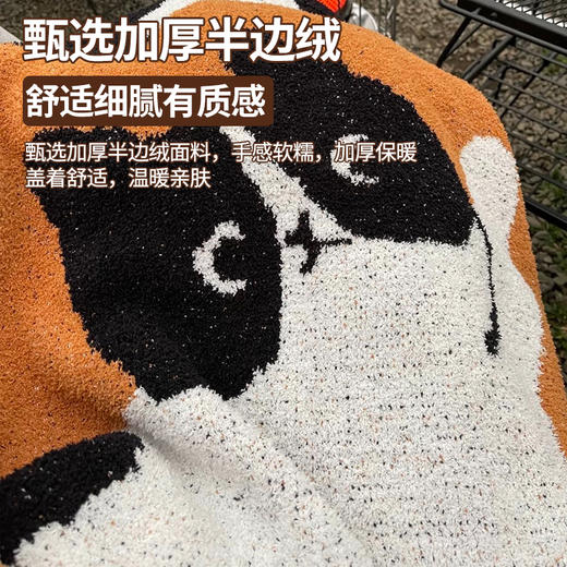 【品牌直发】加倍生活 加厚半边绒艺术毯 办公室午睡毯沙发盖毯空调毯午休四季加厚毯子汽车用毯 商品图1
