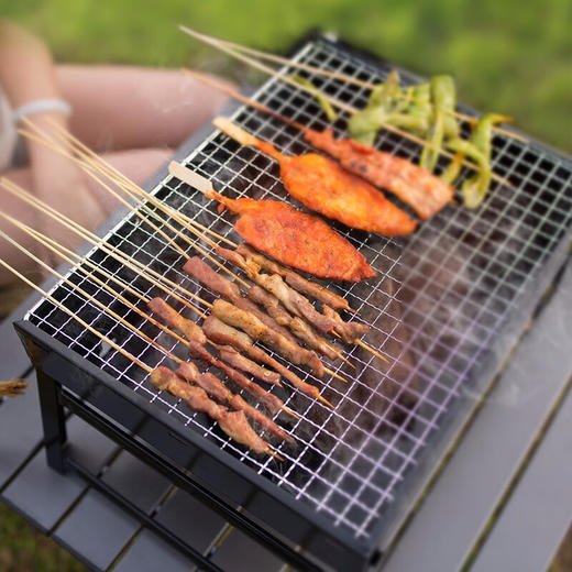 狼行者 烧烤架户外不锈钢烧烤炉 家用烤肉架木炭便携碳烤炉 LXZ-5034 便携式烧烤架 商品图2