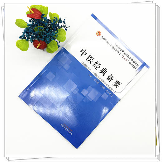 中医经典备要 全国中医药行业高等教育十五五创新教材 盖沂超 王慧峰 陈文慧 供中医学类中西医结合类等相关专业用中国中医药出版社 商品图3