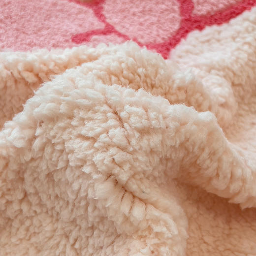 自然醒大版羊羔绒毛巾绣四件套QJ 商品图12