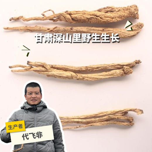 野生党参  |合作生产 * Wild Codonopsis pilosula in plateau | Partner Production 商品图0