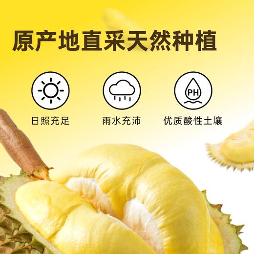 『叻油榴』泰国金枕榴莲无核A果果肉冷冻新鲜烤榴莲水果100g/盒自然树熟 商品图3