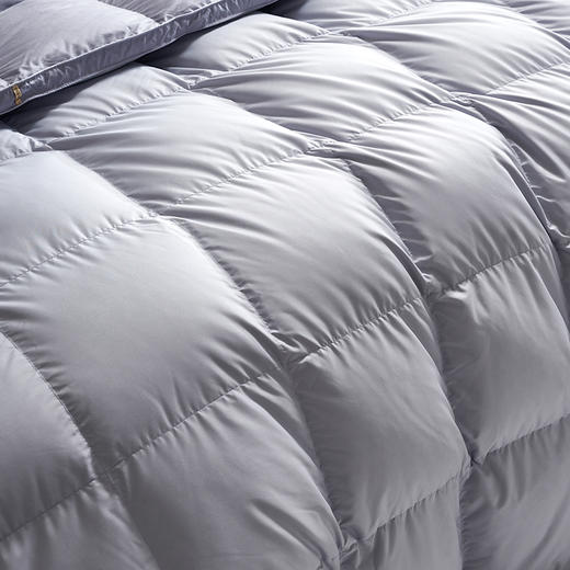 【爆】【6F】富安娜A类抗菌鹅绒被/富有安康，牌牌价9800~10800，双11活动价1999 商品图1