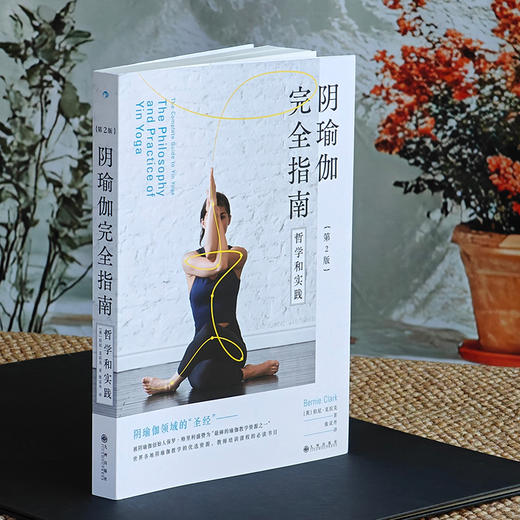 阴瑜伽完全指南（第2版）：哲学和实践 商品图2
