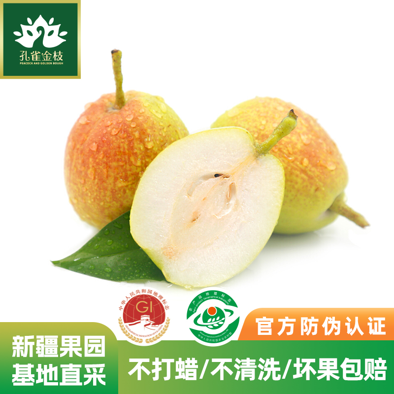 新疆 孔雀金枝 树上熟库尔勒香梨 核心产区 当季采摘 脆甜多汁