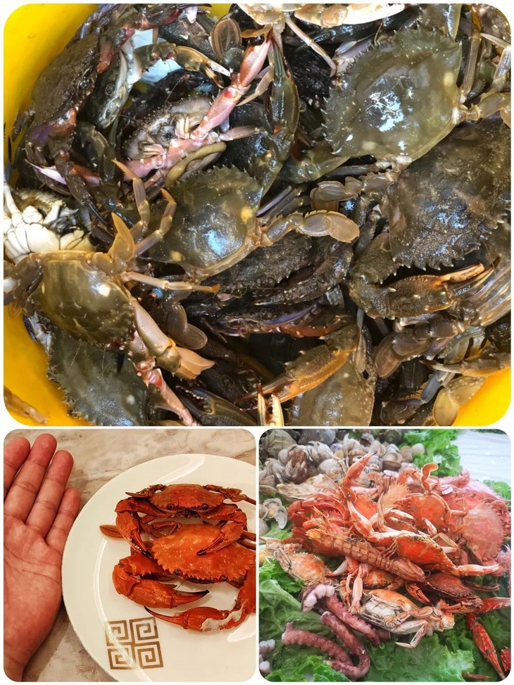 微信图片_20230618191442.jpg 微信图片_20230618191442.jpg