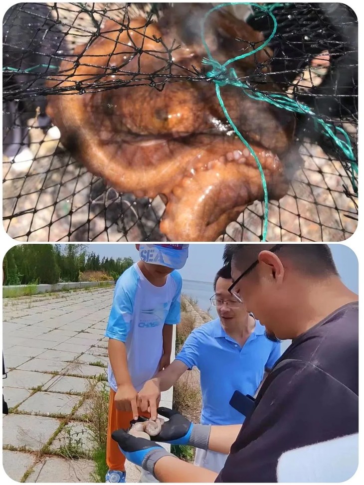 微信图片_20230618191450.jpg 微信图片_20230618191450.jpg