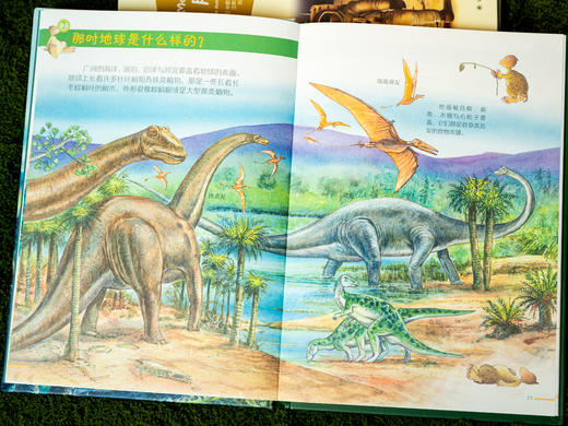 【风靡全球的科普经典绘本】《来问我吧：德国百科全书绘本》（全20册）德国原版引进，数十位科学家、作家、画家联手打造，版权输出96个国家和地区，10000+知识点，拓展孩子眼界和格局 商品图4