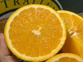 3107袋鼠甜橙🍊阳光的味道直击我心巴～
口感细腻无渣，恰到好处的黄金酸甜比，超赞
橙子味道巨浓郁，而且汁水特别特别特别多

一箱15粒，净重8斤