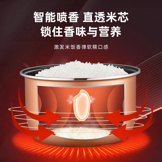 志高电饭家用煲智能预约电饭锅 4-6人多功能保温锅小型电饭锅 商品图3