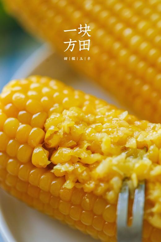 一块方田·甜糯玉米 商品图2