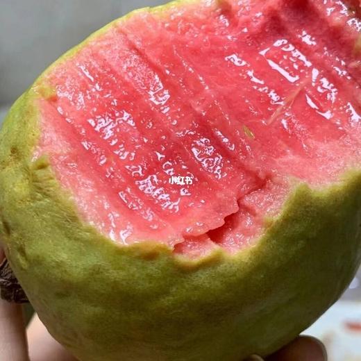 红心芭乐【29元购】丨云南产地直发，软糯新鲜香甜 商品图3