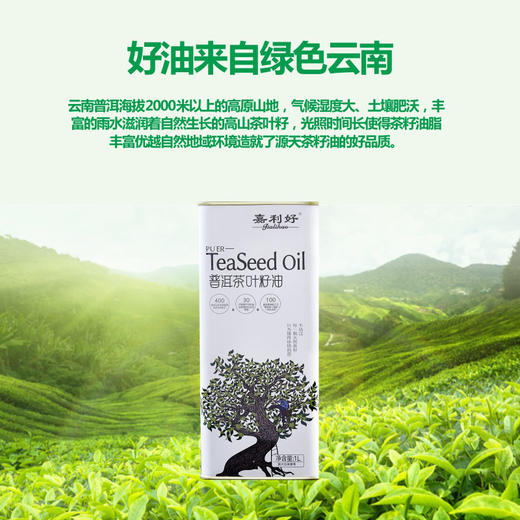 营养好油！嘉利好 有机铁核桃油/普洱茶叶籽油 营养健康 美味提鲜 商品图6