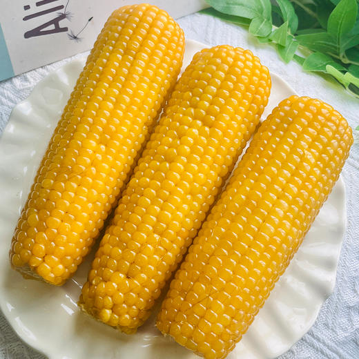 【拉丝玉米】东北甜糯玉米 240g/根*8根 商品图1