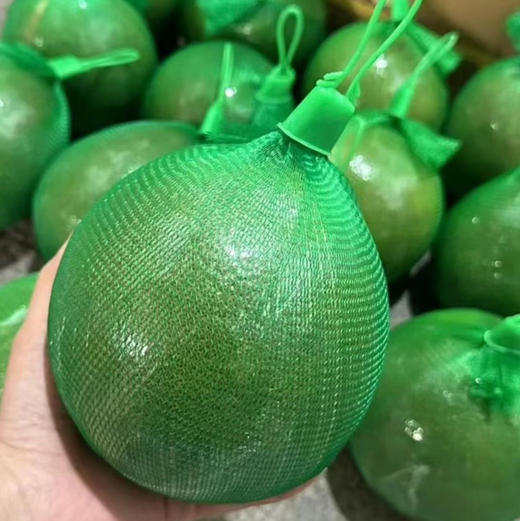 柚子泰国红心果翡翠蜜柚 2/4个装 商品图1