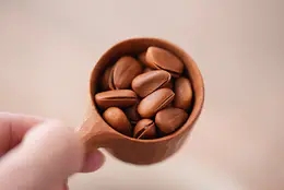 猫太推荐—2025新 东北野生松子｜长白山特级松子｜自然成熟颗颗饱满｜新鲜好吃😋（500g/包）