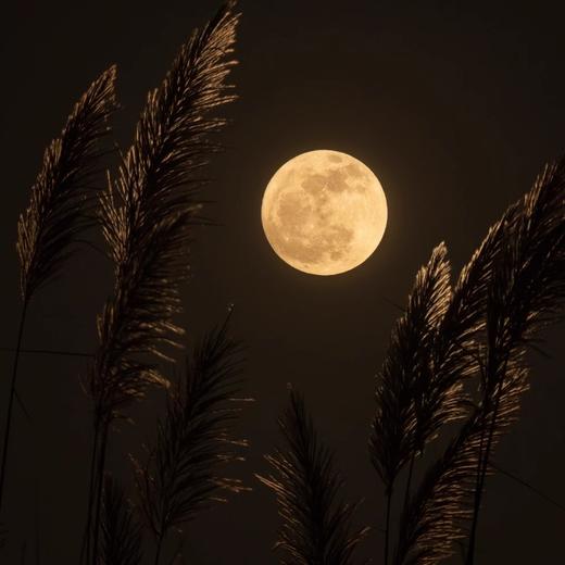 月亮从未落山50ML 商品图2