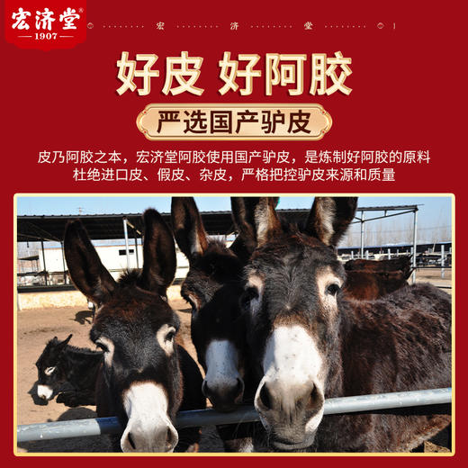 【买4盒送1盒 到手5盒】宏济堂固元糕 200g/盒（赠礼袋*2个） 商品图1