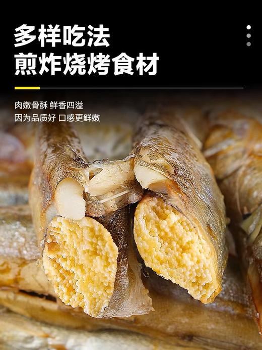 满籽多春鱼新鲜冷冻烧烤食材 商品图2