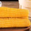 万农鲜-香糯玉米200g 商品缩略图2