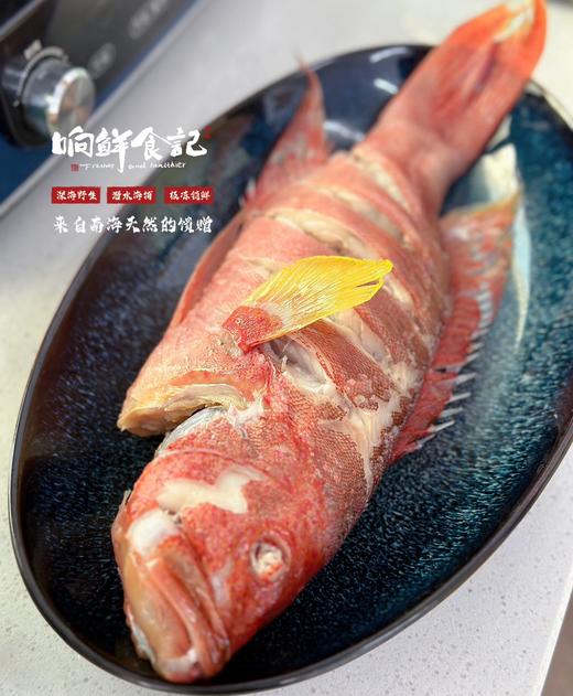 南海野生海鱼 商品图6