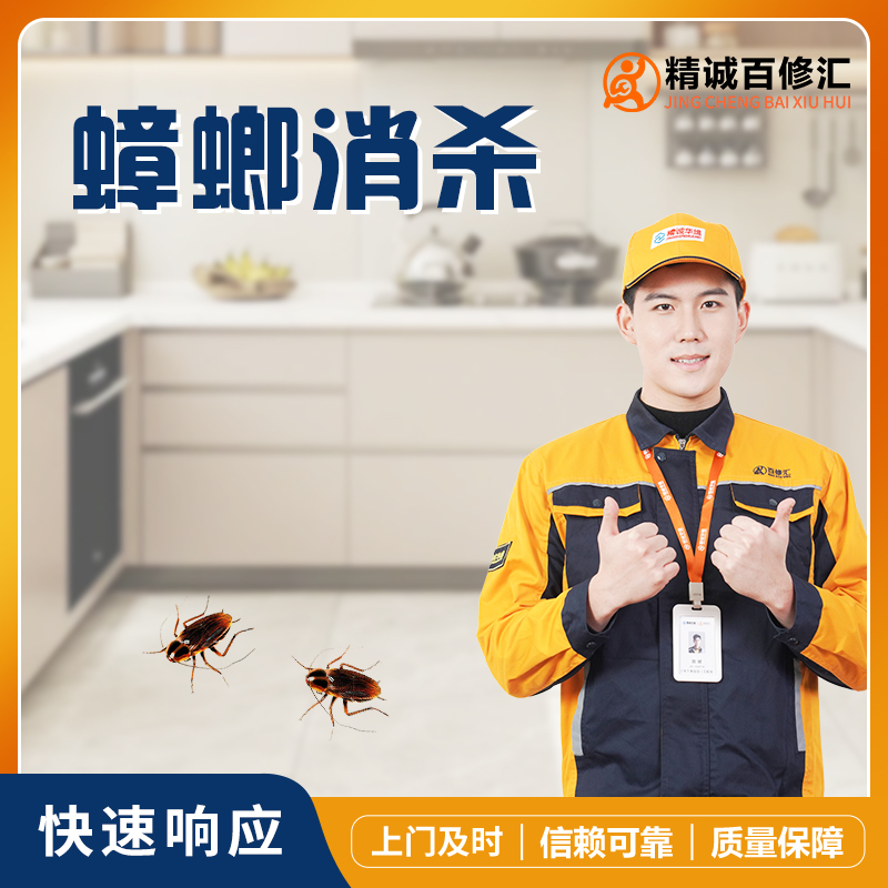 【怡家】全屋蟑螂消杀-JK