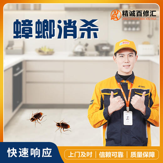 【怡家】全屋蟑螂消杀-JK 商品图0