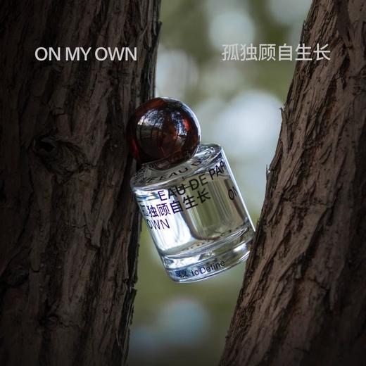 孤独顾自生长50ML 商品图4