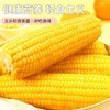 万农鲜-香糯玉米200g 商品缩略图3