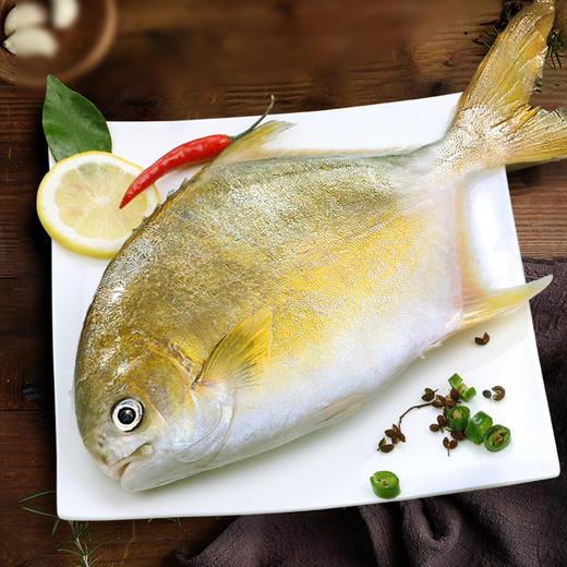 大号金鲳鱼新鲜冷冻  商品图1