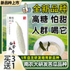青藤仙仙紫霞白玉白苦瓜干片茶糖友控糖人群适用苦瓜冻干片泡水喝全新苦瓜新品种 商品缩略图3