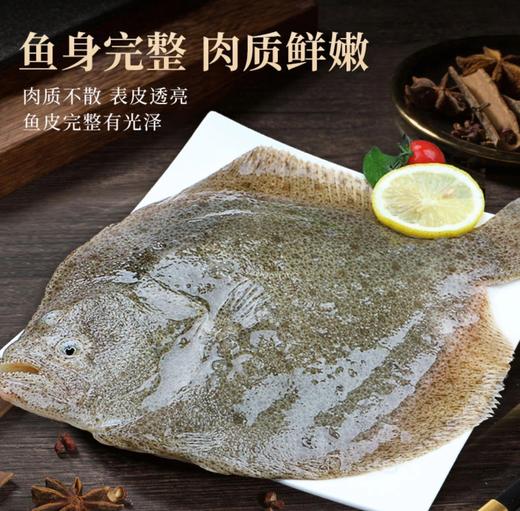 【东上御品】鲜活速冻多宝鱼 商品图1