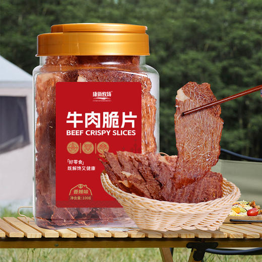 康新牧场 内蒙古 牛肉脆片 超薄香脆 草原特产 牛脆脆100g 商品图5