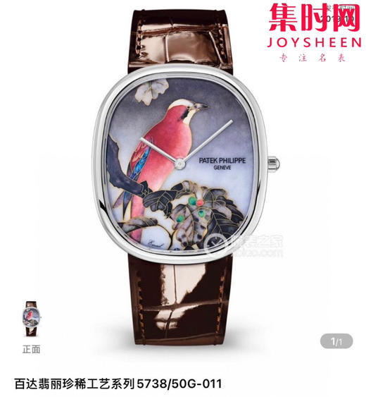 TW百达翡丽PP 珍稀工艺系列 Golden Ellipse系列5738/50J-011无时标刻度登场 男士腕表 商品图0