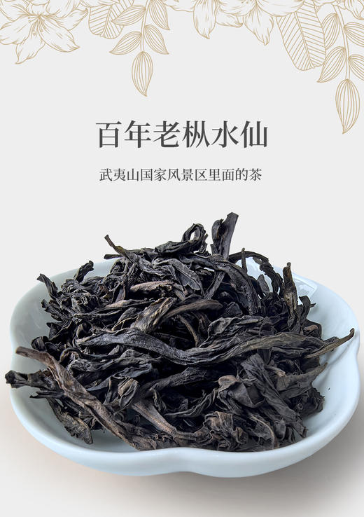 百年老枞水仙 6泡*8.3克 正岩 荔枝木碳焙 武夷山国家公园 商品图1