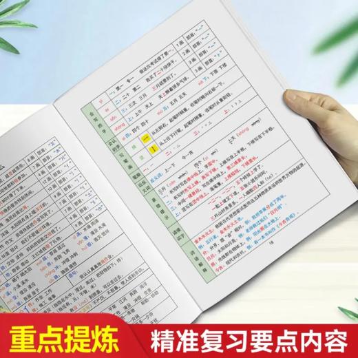 【双十一大促】语文重点知识集锦 小学1-3年级上册 商品图3