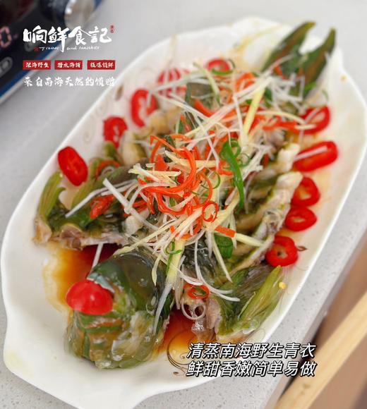 南海野生海鱼 商品图4