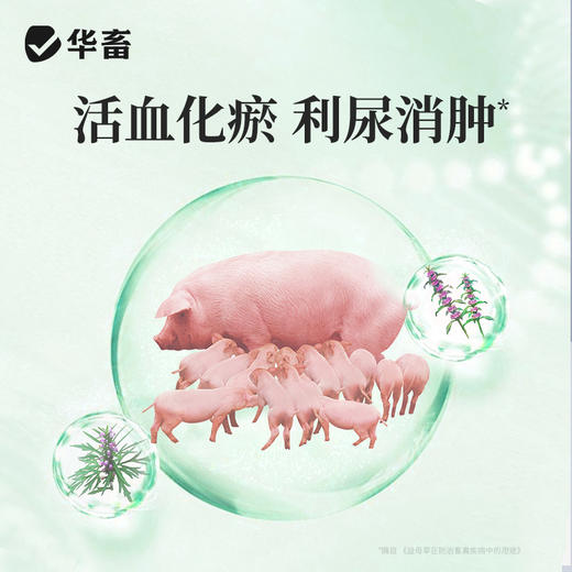 宫炎净100ml 产后冲洗排恶露 产后保健子宫清理 母畜消炎 商品图2