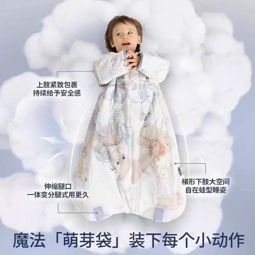 Domiamia 婴幼儿成长款一体睡袋（双层）适宜21-25 °C 商品图0
