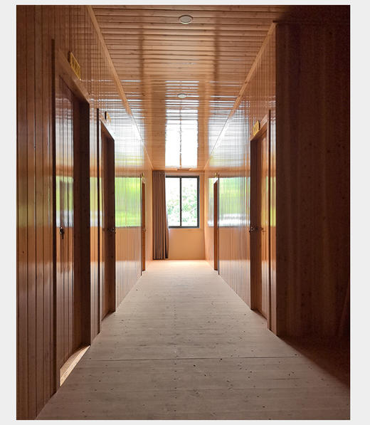 百年老枞水仙 6泡*8.3克 正岩 荔枝木碳焙 武夷山国家公园 商品图13