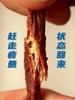 蒙都内蒙古超干风干牛肉干牛肉零食即食牛肉批发源头厂家 商品缩略图0