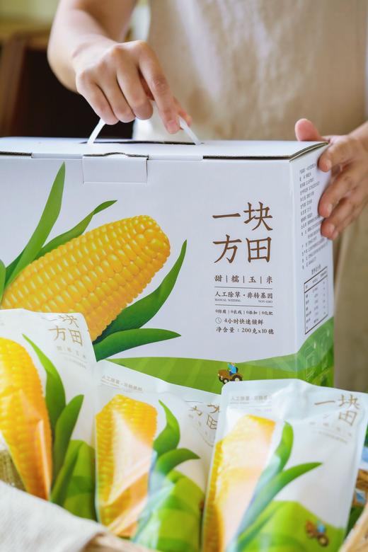 一块方田·甜糯玉米 商品图0