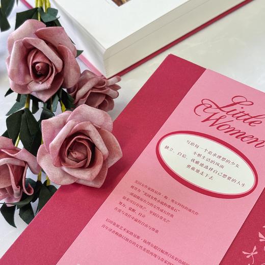 【附赠藏书票】小妇人 插图珍藏版 家庭婚姻四姐妹女性成长经典美国文学世界名著  后浪正版 商品图2
